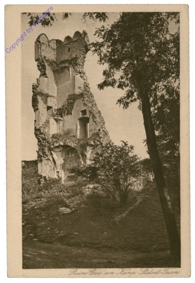 ak115040 Gars am Kamp, Ruine, Südost Turm
