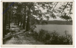 Gmünd, Partie beim Asangteich