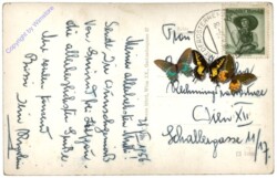 Gmünd, Partie beim Asangteich