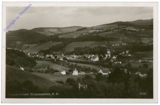 ak115091 Grimmenstein, Ortsansicht