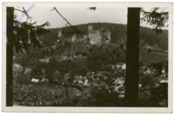 Hardegg, Burg