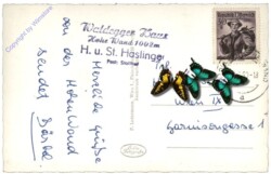 Hohe Wand, Kleine Kanzel mit Blick auf Schneeberg