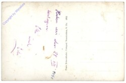 Hohe Wand, Ausblick gegen Gelände und Schneeberg