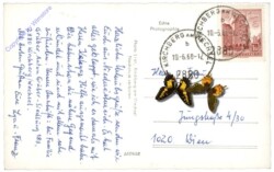 Kirchberg am Wechsel, Ortsansicht