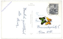 Kirchberg am Wechsel, Ortsansicht