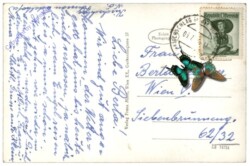 Kirchschlag i.d. Buckligen Welt, Ortsansicht