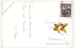 Kirchschlag i.d. Buckligen Welt, Ortsansicht