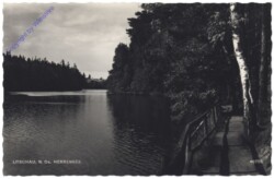Litschau, Herrensee