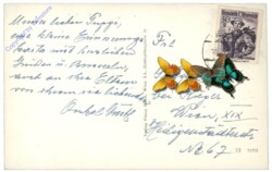 Maria Taferl, Gnadenbild