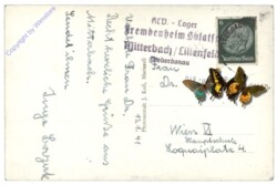 Mitterbach, mit dem Ötscher