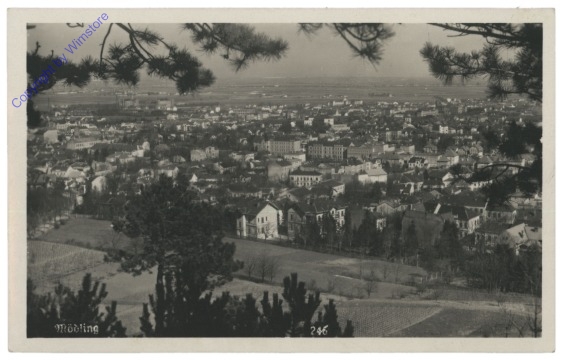 Mödling, Ortsansicht