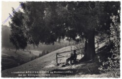 Mönichkirchen, bei der Wildgans-Fichte