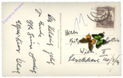 Mönichkirchen, bei der Wildgans-Fichte