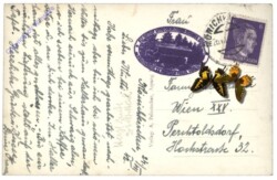 Mönichkirchen, Schwaig am Niederwechsel