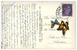 Payerbach, Ortsansicht