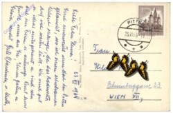 Pitten, Ortsansicht