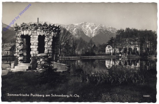 ak115601 Puchberg am Schneeberg, Ortsansicht