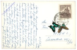 ak115603a Puchberg am Schneeberg, Multiansicht