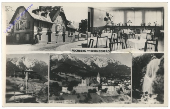 ak115611_2 Puchberg am Schneeberg, Ortsansicht