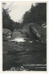 Purgstall, Erlaufpartie