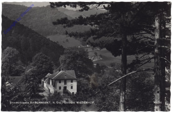 ak115625 Raisenmarkt, Pension Wiedenhof