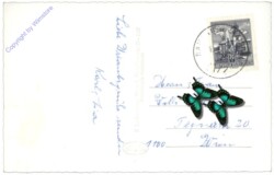 Ramsau bei Hainfeld, Urlaubsheim Annental