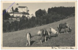 Rappottenstein, Burg