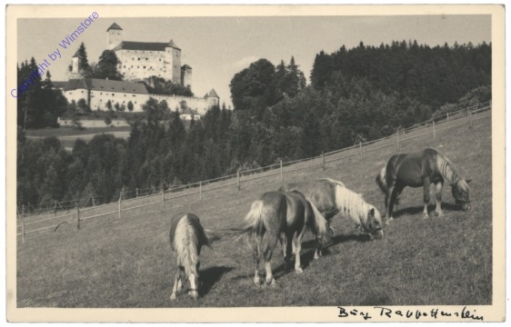Rappottenstein, Burg