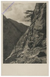 Rax, Einstieg in den Akademikersteig