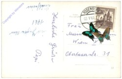 Rosenburg am Kamp, Blick zum Wartturm