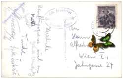 Furth an der Triesting, Steinwandklamm, Türkenloch