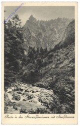 Stierwaschboden, Partie in den Stierwaschmäuer mit Stierschwanz