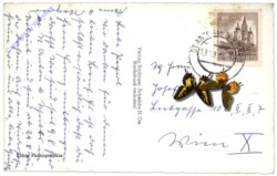 Scheibbs, Ortsansicht