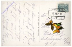 Scheiblingkirchen, Ortsansicht