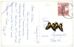 Schmelz bei Annaberg, Ortsansicht