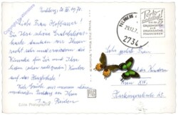 Schneeberg, Zahnradbahn