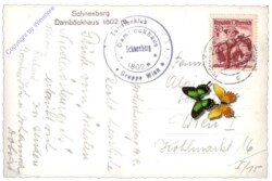 ak115919a Schneeberg, Damböckhaus