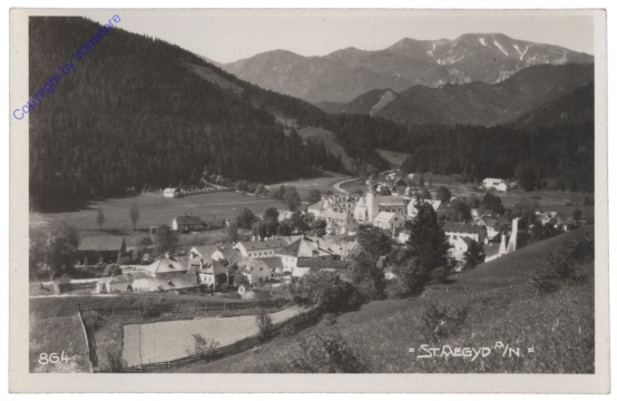 St. Aegyd am Neuwalde, Ortsansicht