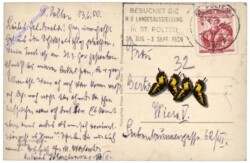 St. Pölten, Ortsansicht