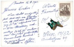 Tauchen bei Mönichkirchen, Ansicht