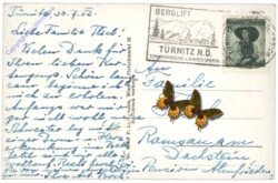 Türnitz, Ortsansicht, Türnitzer Höger
