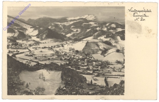 Türnitz, Ortsansicht