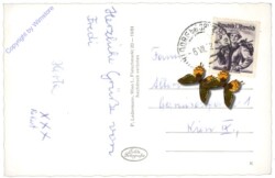 Wachau, Multiansicht