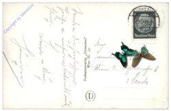 Wachau, Donaustrom mit Dürnstein und Rossatz