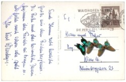 Waidhofen an der Ybbs, Multiansicht