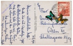 Waidhofen an der Ybbs, Partie an der Ybbs