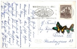 Waidhofen an der Ybbs, Ortsansicht