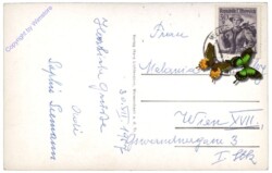 Weissenbach a.d. Triesting, Ortsansicht