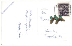 ak116068a Weitenegg, Ruine