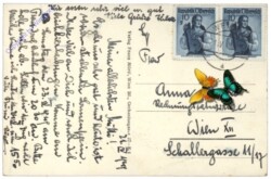 Weitra, Multiansicht